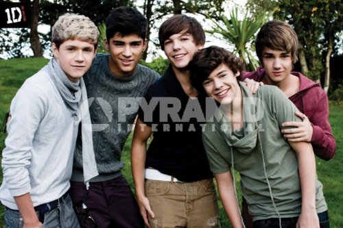 One Direction Poster, 91.5cm x 61cm Join The 