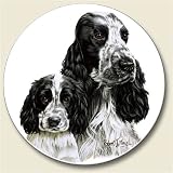AutoCoaster ~ English Cocker Spaniel ~ Tile Drink Coaster for car cupholder - code 852