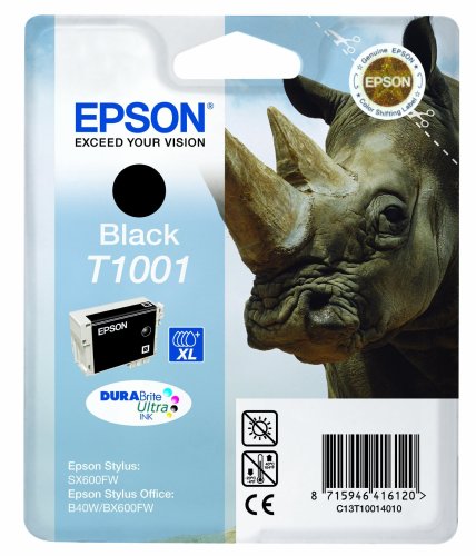 Epson T1001 Black Ink Cartridge