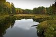 Small Pond in Autumn, Baxter State Park, Maine - Fine-Art Gicl??e Print of a Brendan Reals Photograph