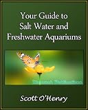 Your Guide to Salt Water and Freshwater Aquariums