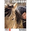 Chamane