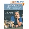 Cesar's Way Deck: 50 Tips for Training and Understanding Your Dog