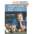 Cesar's Way Deck: 50 Tips for Training and Understanding Your Dog