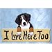 Bernese Mountain Dog I Live Here Too Oak Finish Sign