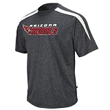 NFL Men's Arizona Cardinals Fanfare IV Short Sleeve Crewneck Synthetic Marled Tee (Charcoal Marled/White, X-Large)