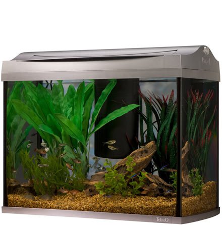 Tetra Water Wonders 16 Gallon Aquarium Kit
