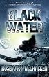 Black Water (A Pat Tierney Mystery - book 2)