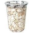 Kleins Naturals Dry Roasted Salted Pumpkin Seeds  (Pack of 6)