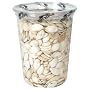 Kleins Naturals Dry Roasted Salted Pumpkin Seeds (Pack of 6)