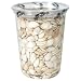 Kleins Naturals Dry Roasted Salted Pumpkin Seeds  (Pack of 6)
