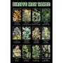 Europe's Most Wanted (Pot Plants) Framed Art Poster Print - 24" X 36"