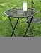 Folding Bistro Table with Bird Detail