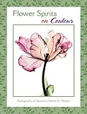 Flower Spirits en Couleur Boxed Notecards