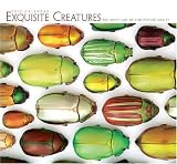 Exquisite Creatures 2010 Calendar (Wall Calendar)