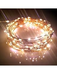Lawn & Patio: Starry String Lights w/ 120 Warm White LEDs on Copper Wire 20ft Long, Ultra-thin. Amazingly Bright New Generation of Micro LEDs for Indoor and Outdoor Use. You Can Create Mesmerizing Hanging Garlands for Events such as Weddings. Wrap Around Your Patio or Backyard Trees with our Led Wire Strings providing Wonderful Decorations for a Dancing Party this Summer. Add a String or More to your Teens Bedrooms Tinging them with a Light Fairy Looks, and Make them love their play or study area! - Our Highest Quality Strings Lights Bring an Elegant Touch to Your Home All Year Around, Night and Day - 110/220V Power Adaptor included (100% Stasfaction Guarantee By Qualizzi) - Qualizzi Products