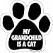 Imagine This Paw Car Magnet, My Grandchild is a Cat, 5-1/2-Inch by 5-1/2-Inch
