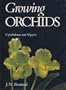 Growing Orchids I: Cymbidiums and Slippers