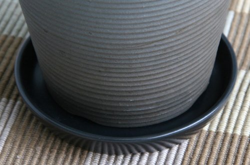 セット購入専用鉢皿【ミニ幸福の木4号・ミニパキラ4号信楽焼陶器鉢植え専用】