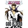 Bleach, Tome 48 :