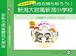 新潟大学附属新潟小学校【年中用】