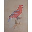 India Paper Paintings Miniature Art Drawings (mbird005)