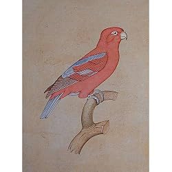 India Paper Paintings Miniature Art Drawings (mbird005)