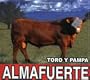 Toro Y Pampa