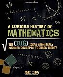 A curious history of mathematics : the (BIG) ideas from early number concepts to chaos theory
