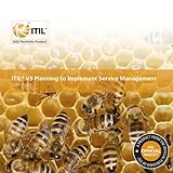 ITIL V3 planning to implement service management