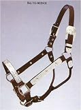 Halter Engraved Silver Horse Show Halter with Inlaid Stars