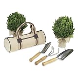 Small Garden Tool Tote - 3 Pc Tools