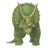 Walls of the Wild Triceratops Wall Sticker