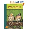 Wachteln