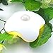 Zitrades Led Motion activated wireless Nightlight Clover Style Night Lamp, Wall Light Stick on Anywhere with battery operated Warm white