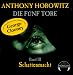 Die fünf Tore 3. Schattenmacht (Audio CD)