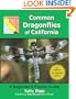 Common Dragonflies of California