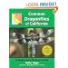 Common Dragonflies of California