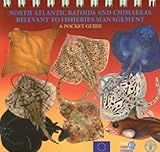 North Atlantic batoids and chimaeras relevant to fisheries management : a pocket guide
