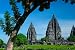 Prambanan Temple on Java - 60"W x 40"H - Peel and Stick Wall Decal by Wallmonkeys