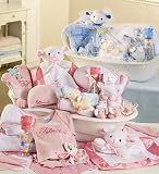Adorable Baby Bathtime Gift Set
