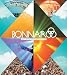 Books : Bonnaroo: What, Which, This, That, The Other