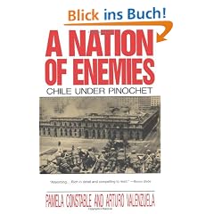 Nation of Enemies: Chile Under Pinochet