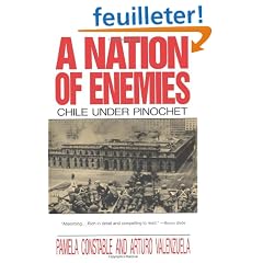 A Nation of Enemies: Chile Under Pinochet