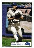 2003 Fleer Double Header 123 Shawn Green (Baseball Cards)