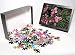 Photo Jigsaw Puzzle of ROSE - Hybrid Tea shrub rose Electron from Ardea Wildlife Pets Photo Jigsaw Puzzle of ROSE - Hybrid Tea shrub rose Electron from Ardea Wildlife Pets