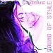 Sound Of Style (S.O.S.) Compilation