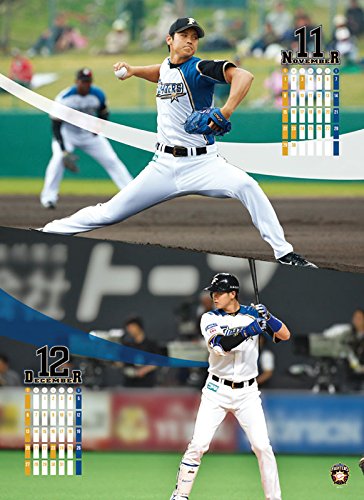 大谷翔平(北海道日本ハムファイターズ) 2015カレンダー