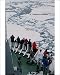 Photographic Prints of Tourists on the Professor Multanovskiy watch a polar bear in pack ice from ArcticPhoto