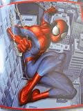 Marvel Spiderman Fleece Throw Blanket